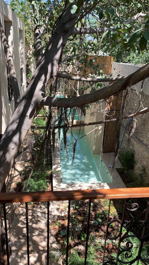 Treehouse Boutique Hotel, An Adults Only Boutique Hotel 梅里达 外观 照片