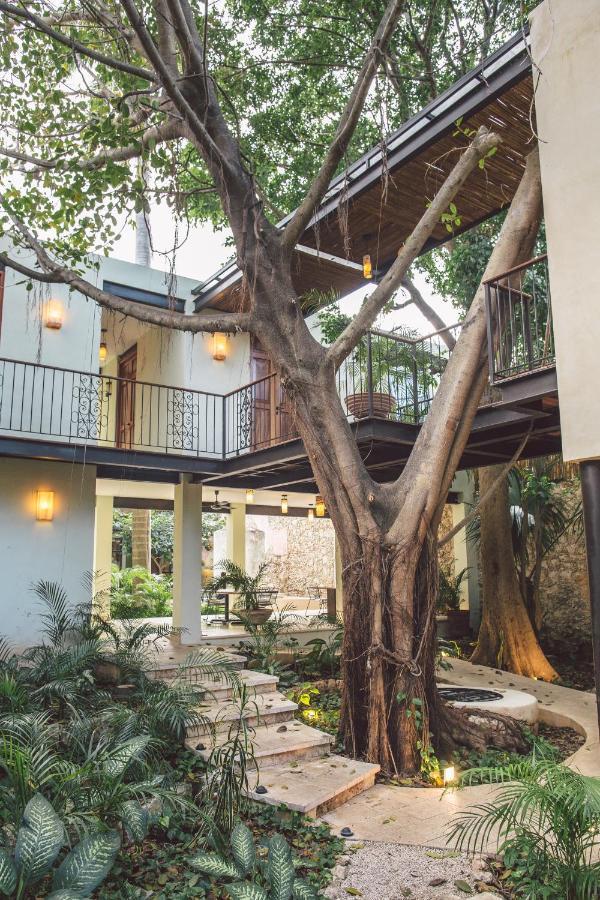 Treehouse Boutique Hotel, An Adults Only Boutique Hotel 梅里达 外观 照片