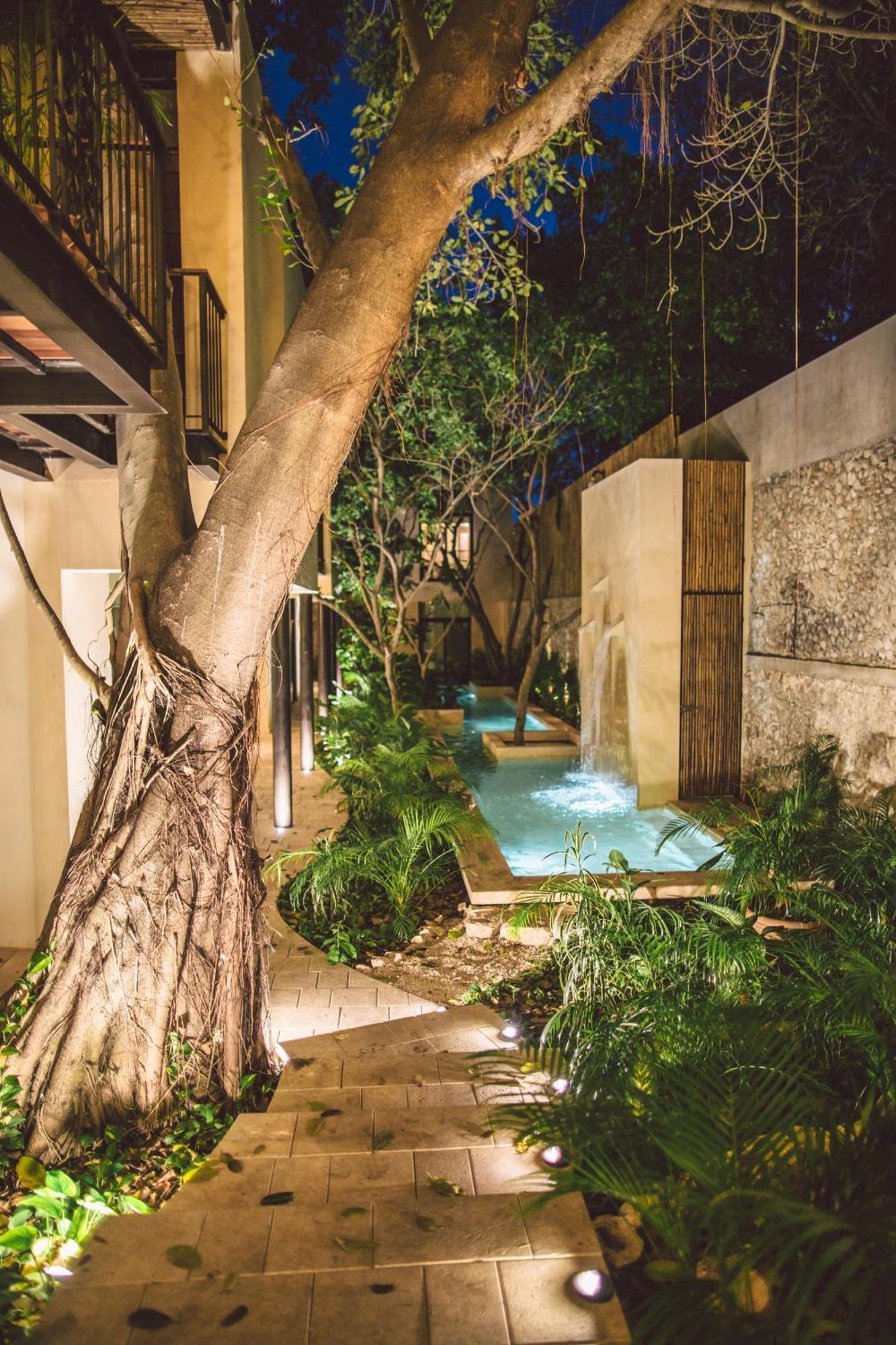 Treehouse Boutique Hotel, An Adults Only Boutique Hotel 梅里达 外观 照片